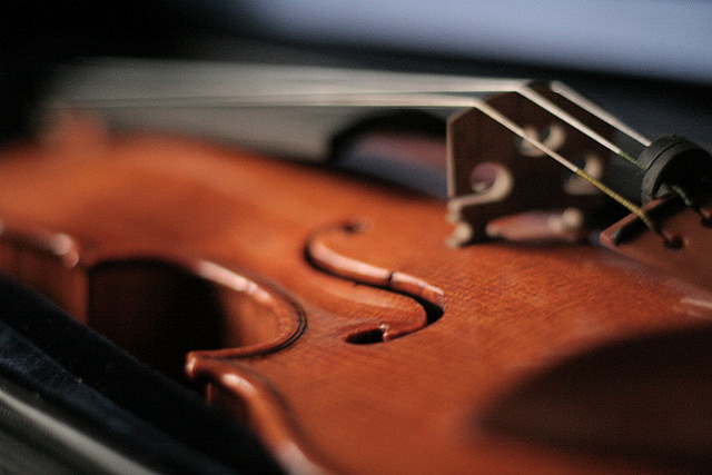 flickr-land_camera-violin