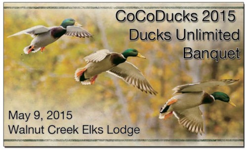 CoCoDucks Banquet at Walnut Creek Elks Lodge on May 9th – Beyond the Creek