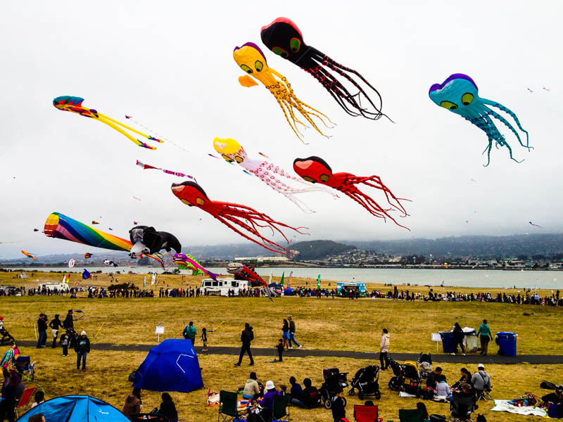 Berkeley Kite Festival at Cesar Chavez Park July 28th & 29th Beyond