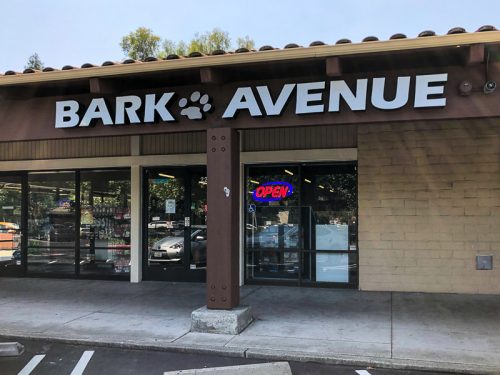 Bark avenue best sale pet store